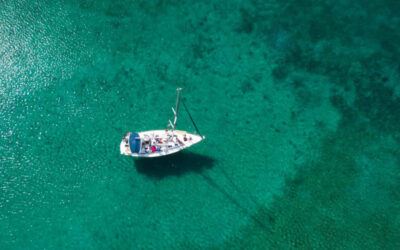 athanasia_feature athanasia_feature